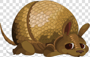 Armadillo  HD Png Download