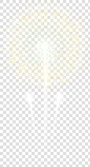 Fireworks Transparent Hi Re   Fireworks  HD Png Download