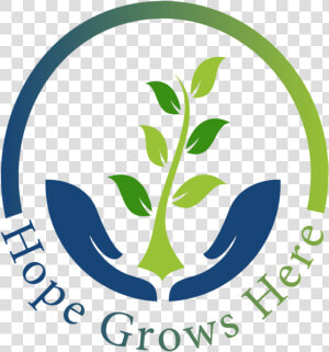 Hgh Newsletter   Graphic Design  HD Png Download