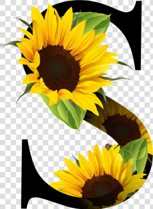 Letra S Con Girasoles  HD Png Download