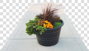 Flowerpot  HD Png Download