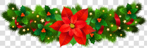 Christmas Poinsettia Clip Art  HD Png Download