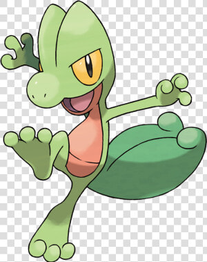 Grass Type Starter Pokemon  HD Png Download