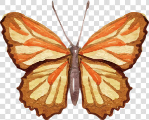 Ai Vector Watercolour Butterfly   Png Download   Watercolor Painting  Transparent Png