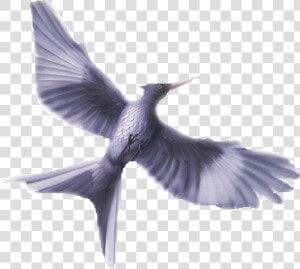 Thumb Image   Jabberjay Mockingbird  HD Png Download
