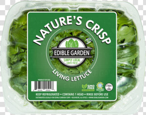 Nature S Crisp Living Lettuce   Spinach  HD Png Download