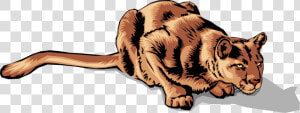 Vector Illustration Of Large Carnivore African Lioness   Bengal Tiger  HD Png Download