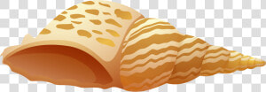 Sea Shell Png Clip Art   Sea Shell Clipart Png  Transparent Png