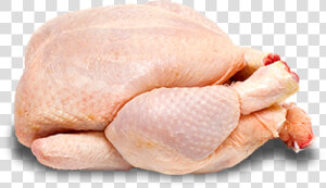 Daily Fresh Suguna Chicken  HD Png Download
