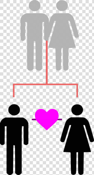 Transparent Brother And Sister Png  Png Download