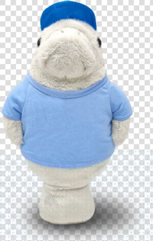 Denis Daily Messenger Manatee  HD Png Download
