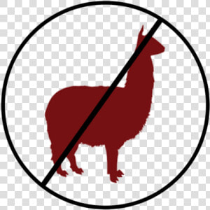 Annie Png  Transparent Png