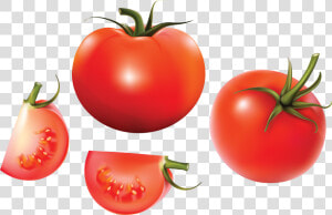 Red Tomatoes   Tomato Vector  HD Png Download
