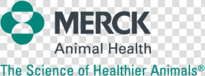 Merck  amp  Co  HD Png Download