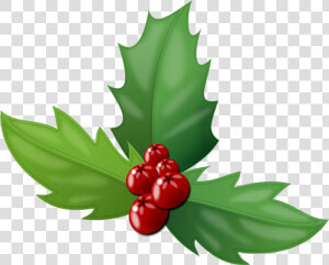 Transparent Holly Red   Holly Berry Png  Png Download