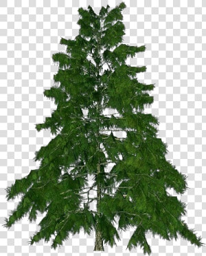 3d Trees   Himalayan Cedar   Acca Software   Albero Da Natale Offerta 150 Cm  HD Png Download