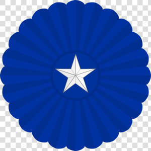 Lone Star Cockade Of Texas   Puerto Rican Flag Skull  HD Png Download