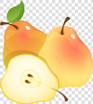 Pears Clip Art  HD Png Download