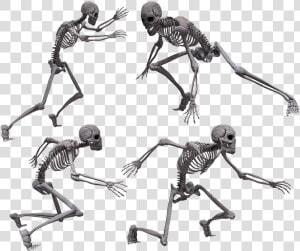 Running Skeleton Png   Skeleton Crawling  Transparent Png