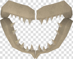 Shark Jawbone  HD Png Download