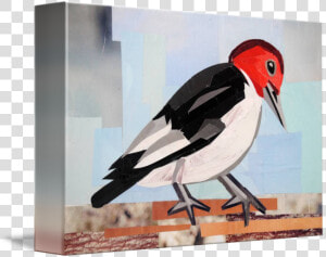 Clip Art Carpenter Bird  HD Png Download