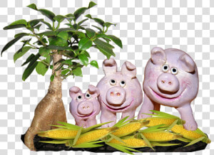 Farm  Pigs  Corn   Animal Figure  HD Png Download