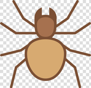 Transparent Colorful Spiders Clipart   Weevil  HD Png Download