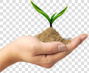 Soil In Kerala  HD Png Download