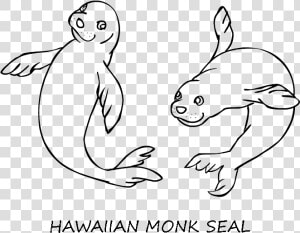 Monk The Little Dog Lhasa Apso Coloring Page  Printable   Hawaiian Monk Seal Drawing  HD Png Download