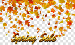 Spring Sale Png Background   Fall Leaves Transparent Background  Png Download