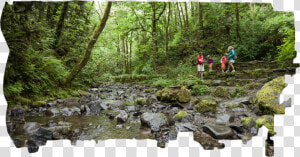 Tributary  HD Png Download