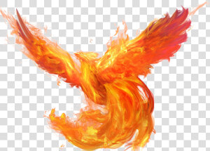 Phoenix Transparent   Phoenix Png  Png Download
