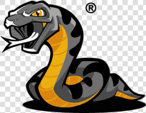 Logo Anaconda  HD Png Download
