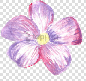 Transparent Flower Crown Png Tumblr   Transparent Png Overlays Png Flowers  Png Download
