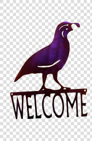 Quail Welcome small Larger Image  HD Png Download