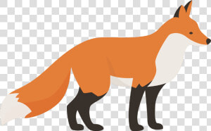 Transparent Foxes Clipart   Animales Ilustracion Png  Png Download