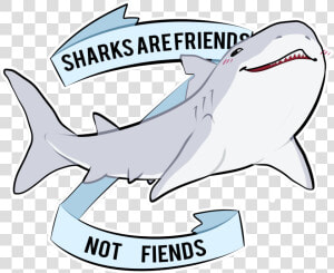 Sharks Are Friends Not Fiends  HD Png Download