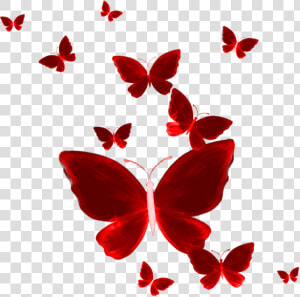 Transparent Red Butterfly Png   Red Butterfly Png Hd  Png Download