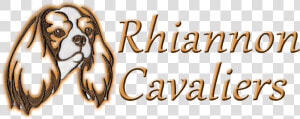 Rhiannon cavaliers   Spaniel  HD Png Download