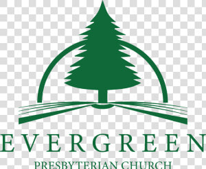 Christmas Tree Clipart   Png Download   Pine Evergreen Logo  Transparent Png