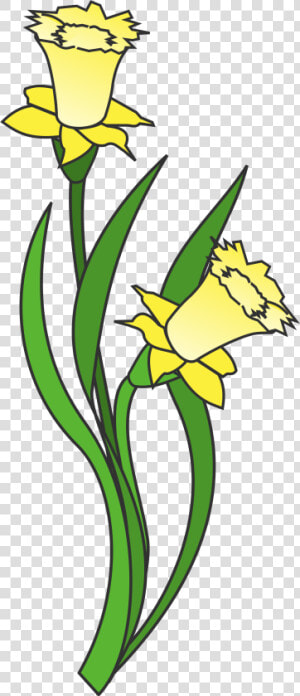 Transparent Narcissus Png  Png Download