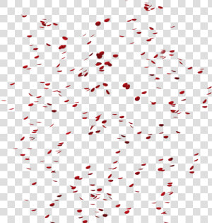 Rain Transparent Background   Transparent Flower Rain Png  Png Download