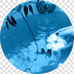 blue  blueaesthetic  bathtub  flower  water  freetoedit   Grunge Light Blue Aesthetic  HD Png Download