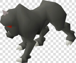 Rhinoceros  HD Png Download