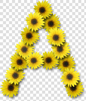 Letra A En Girasol  HD Png Download