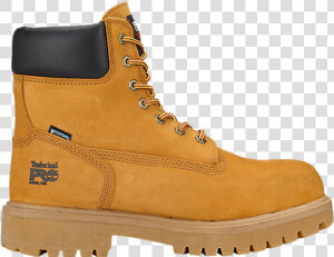 Timberland Boots  Shoes  Clothing  amp  Accessories   Timberland 6 Inch Boot Men  HD Png Download