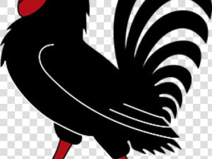 Transparent Hen And Rooster Clipart   Big Black Cock Rooster  HD Png Download