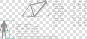 Bulls Frame Sizes  HD Png Download
