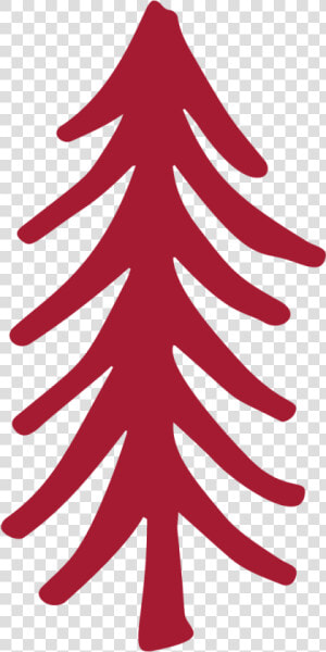 Christmas Tree   Spruce  HD Png Download