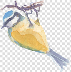 Hand Drawn Catching Tree Branch Watercolor Transparent   Watercolor Paint  HD Png Download